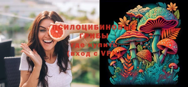 бошки Верея